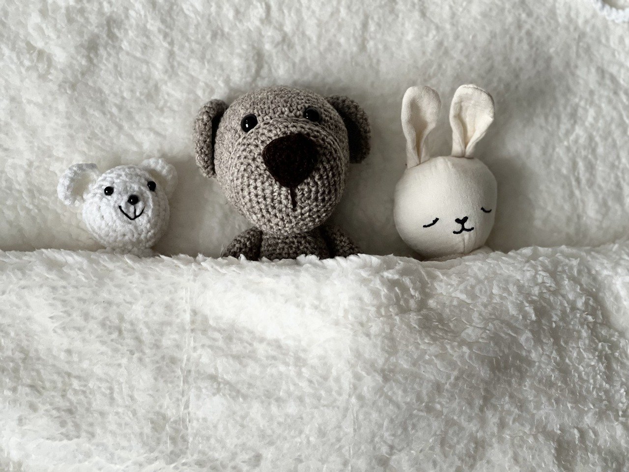 cuddly toys, cool backgrounds, teddy bear-7596017.jpg